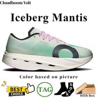 117 Iceberg Mantis