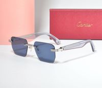 Sunglass 1